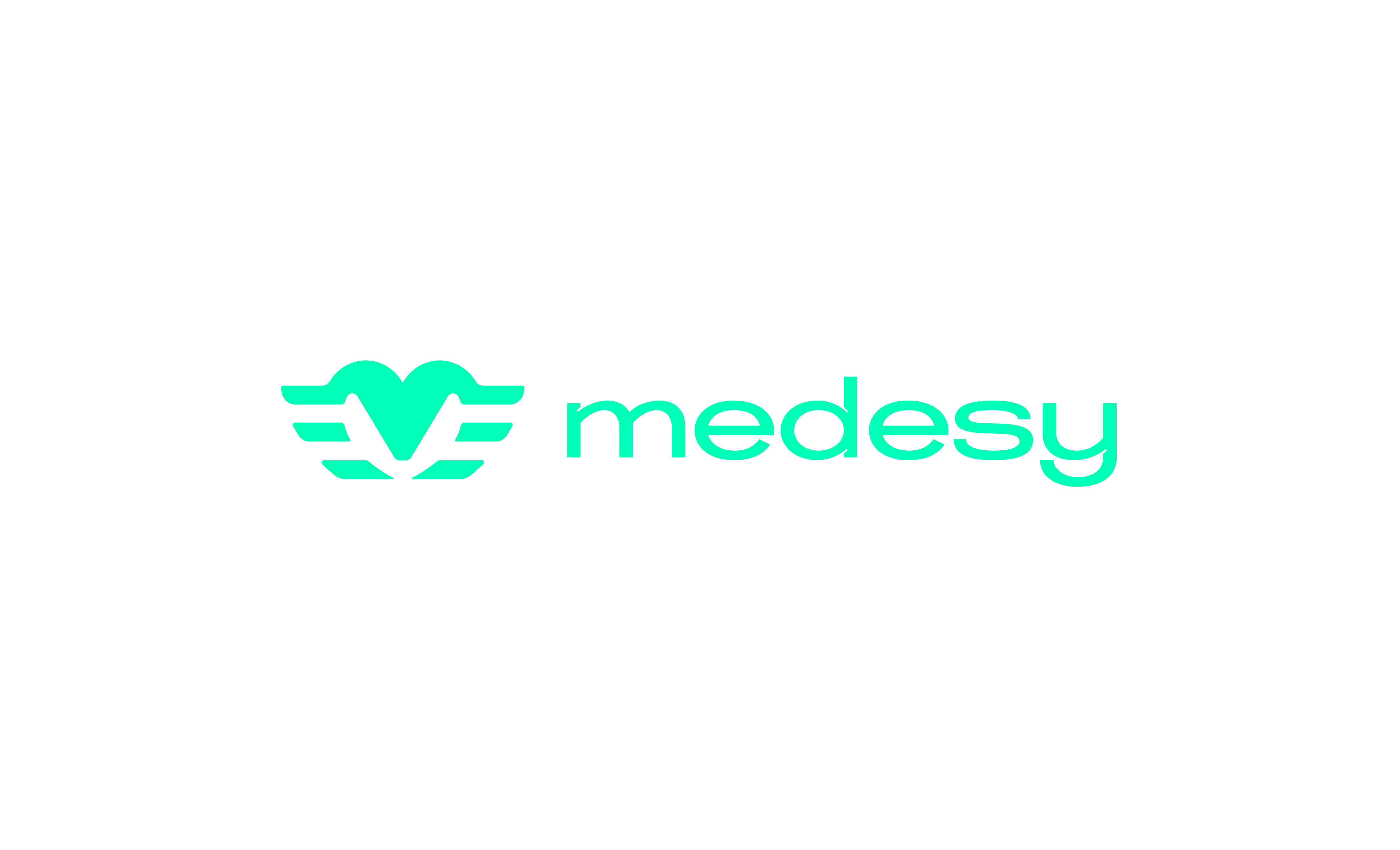 Medesy Logo